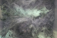 4-babies-07-05-22